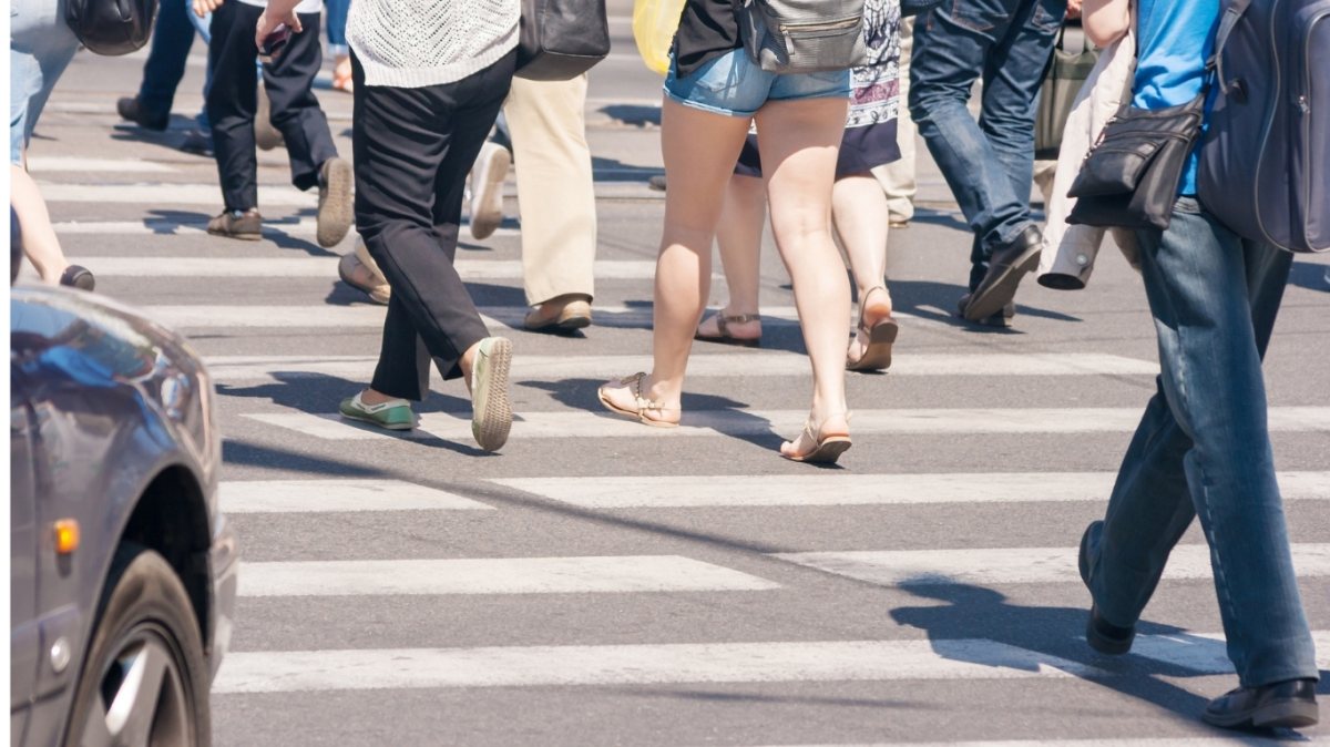 אילוסטרציה CANVA