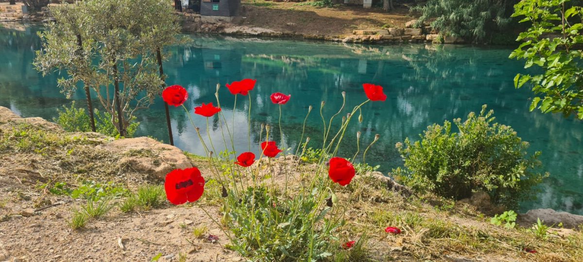 גן השלושה. צילום - דניאל קרונר, רשות הטבע והגנים
