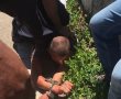 המשטרה: חשד כי המניע לדקירה הוא לאומני