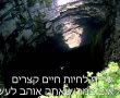 מה אם כסף לא היה שיקול בחיים שלכם
