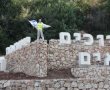 דניאל קופף (צילום: דו"צ) קיץ מוגזם בירושלים