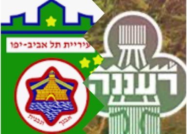 המערכת