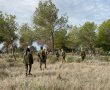 דניאל קופף (צילום: דו"צ) פרויקט ההגנה של קק"ל וצה"ל על יערות עוטף עזה משריפות