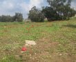 דניאל קופף (צילום: דו"צ) סיורים בחנוכה באוויר הפתוח בדרום ללא עלות