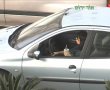 כמה מהנהגים בירושלים  מתעסקים בדברים אחרים תוך כדי נהיגה?