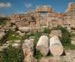 דניאל קופף (צילום: דו"צ) פסטיבל "יער של הרפתקאות" של קרן קימת לישראל הכניסה חופשית
