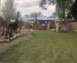 דניאל קופף (צילום: דו"צ) פסטיבל סוכות במכוורת פורת במושב עין יהב