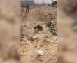 מא"ג, מטענים וציוד צה"לי גנוב: מבצע "פטיש כבד" בדרום לקראת הרמדאן