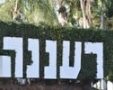 קנבה