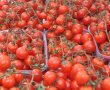 מנגנון זיוף מתוחכם נחשף בנמל אשדוד - הסיפור המלא