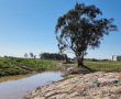 דניאל קופף (צילום: דו"צ) קק"ל משיקה את "חלון ראווה ירוק": פרויקט שיקום נחל שורק ויער ביל"ו