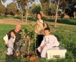 דניאל קופף (צילום: דו"צ) קק"ל ומועצת הדבש נוטעות כ-45 אלף עצים צוּפָנִיִים ברחבי הארץ, בעיקר בעוטף ישראל