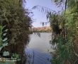דניאל קופף (צילום: דו"צ) יוצאים לסיורים עם אשכולות וקק"ל