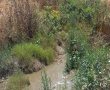 דניאל קופף (צילום: דו"צ) ביובית הזרימה ביוב מתוך המחנה הצבאי פגה שבגזרת נחל עוז לשטח פתוח, בניגוד לחוק