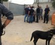 אחרי שנים רבות: העירייה מפנה מבני מגורים לא חוקיים